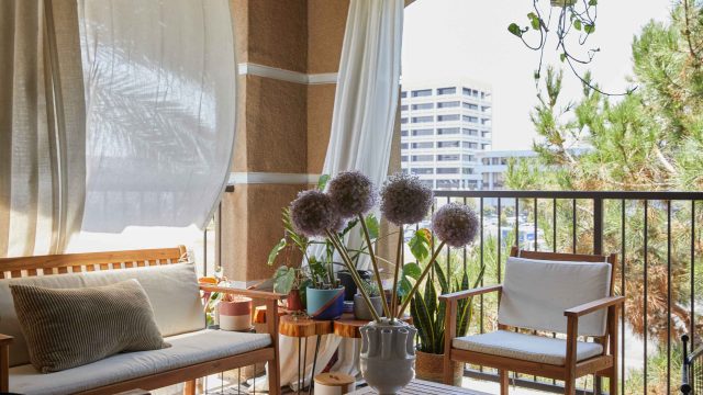 Discover the Affordable Retractable Sun