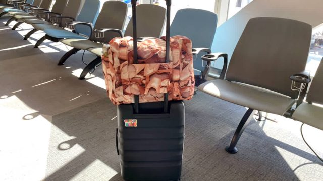 The Must-Have Carry-On Bag for Travel Enthusiasts in 2023