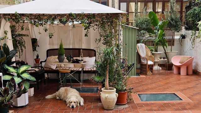 Unbeatable Deal: Affordable Patio Set Flying Off Shelves Amid Sales Surge