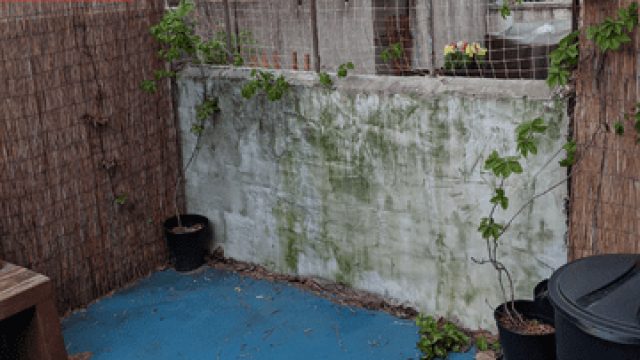 Transforming Patios: The Impact of Innovative DIY Solutions