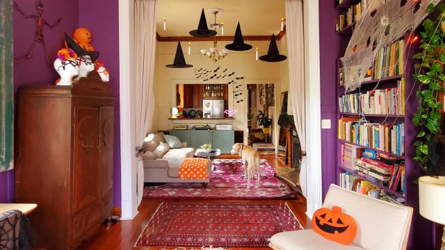 Embrace the Whimsical Spirit of Summerween with Unique Decor Ideas
