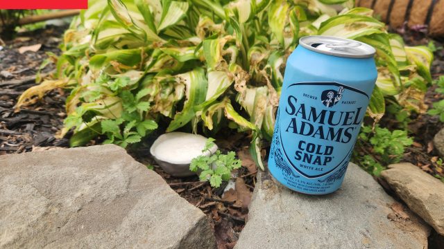 Innovative Garden Strategies: Use Beer to Combat Slug Infestations