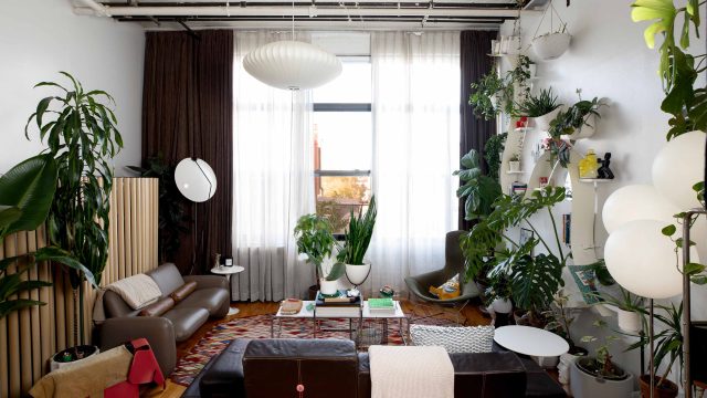 Why the DIY Home Decor Trend is Booming