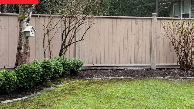 Transforming Your Backyard: From Ordinar
