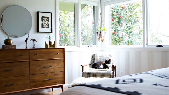 Why Self-Cleaning Litter Boxes Are the Future of Pet Care