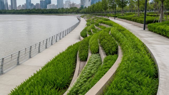 Combining Concrete and Nature: Vietnam's