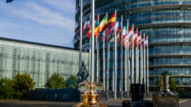 EU Budget Disputes: Navigating Economic