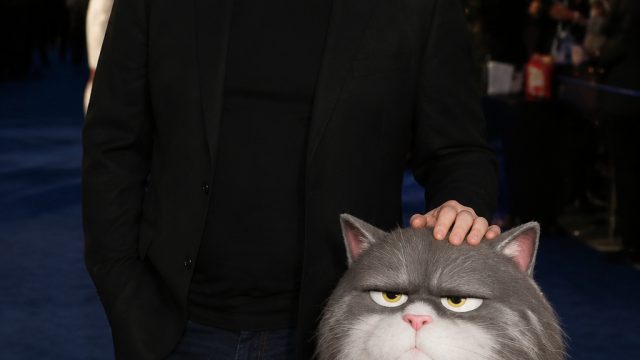 New Animated Cat Series by Ricky Gervais Set to Captivate Audiences