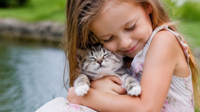 A Little Girl and Her Kitten: A Heartwarming Tale of Friendship